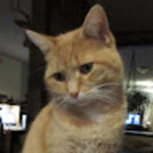 Meet your Posher, Valerie